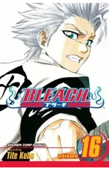 Bleach, Vol. 16