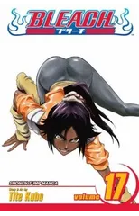 Bleach, Vol. 17