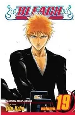 Bleach, Vol. 19