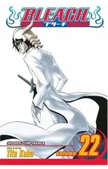 Bleach, Vol. 22