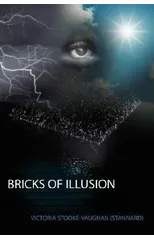 Bricks of Illusion