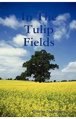 In The Tulip Fields