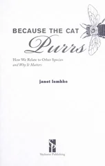 Because the Cat Purrs