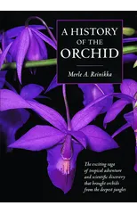 A History of the Orchid
