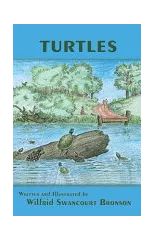 Turtles
