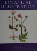 Botanical Illustration