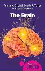 The Brain