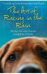 The Art of Racing in the Rain