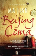 Beijing Coma