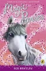 Magic Ponies