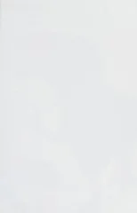 The Age of Dinosaurs in South America