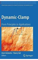 Dynamic-Clamp