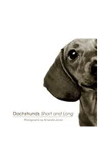 Dachshunds Short and Long