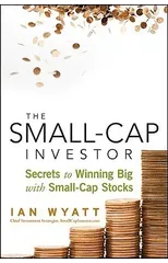 The Small-Cap Investor
