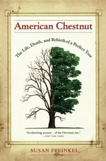 American Chestnut