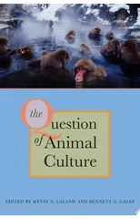 The Question of Animal Culture