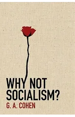 Why Not Socialism?