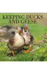 Keeping Ducks and Geese