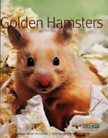 Golden Hamsters