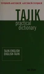 Tajik-English/English-Tajik Practical Dictionary