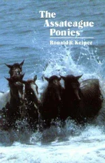 The Assateague Ponies