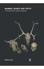 Mammal Bones and Teeth