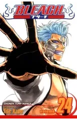 Bleach, Vol. 24