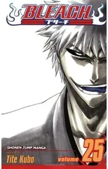 Bleach, Vol. 25