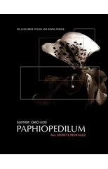 Slipper Orchids, Paphiopedilum