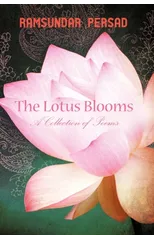 The Lotus Blooms