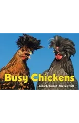 Busy Chickens