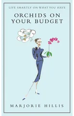 Orchids On Your Budget