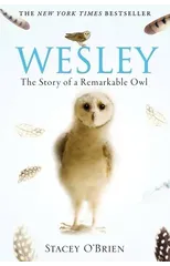 Wesley