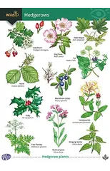 Guide to Hedgerows