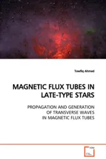 Magnetic Flux Tubes in Late-Type Stars Propagation and Generation of Transverse Waves in Magnetic Flux Tubes