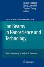 Ion Beams in Nanoscience and Technology (2010)