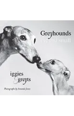 Greyhounds Big And Small