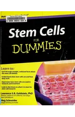 Stem Cells For Dummies