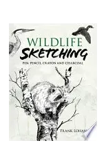 Wildlife Sketching