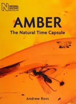 Amber