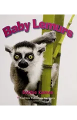 Baby Lemurs