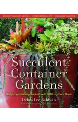 Succulent Container Gardens