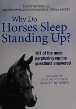 Why Do Horses Sleep Standing Up?