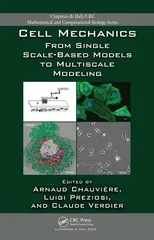 Cell Mechanics