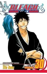 Bleach, Vol. 30