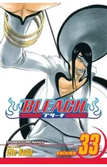 Bleach, Vol. 33