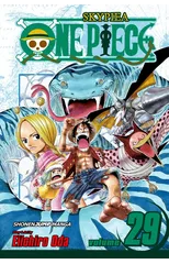 One Piece, Vol. 29