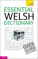 Essential Welsh Dictionary
