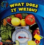 What Does It Weigh?