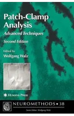 Patch-Clamp Analysis